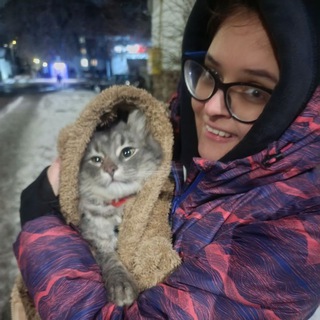 Арія