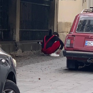 Лєбовський гороскпчик