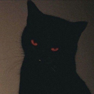𝘚𝘪𝘦𝘭𝘷𝘢𝘳𝘵𝘢𝘴