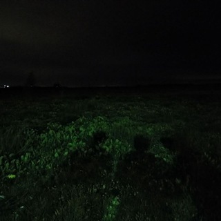 پادکست های روانشناسی