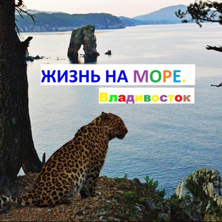 Жизнь на море - общение