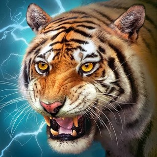 TIGER TOSS PREDICTION