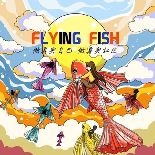飞鱼社区🐬