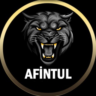 🎖️ Afintul SP