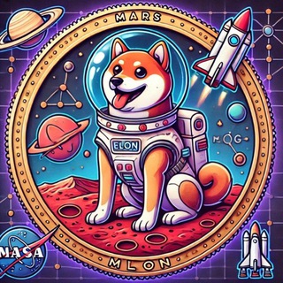 Elon coin🚀