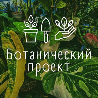 Ботанический Проект