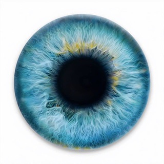 Глаз Цукера 👁