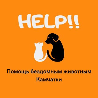 KAMZOO. RU