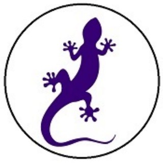 Gecko Finance