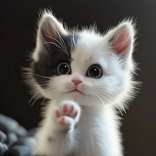 Paws all news