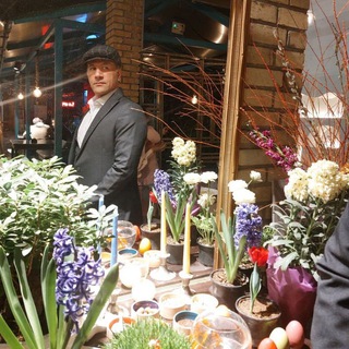 مهرداد باقری