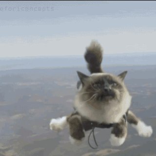 Bo Eggs Tribe · Juicy Cherries · Fluffy Cats · Complete Cheerful Party · Kompot Guns · Piracy/Pussy Haven · Enthusiastic Fury