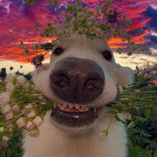 𝕞𝕒𝕟𝕤𝕦𝕣𝕆𝔽𝔽