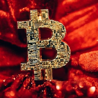 (ELON MUSK) CRYPT MINE GLOBAL 📊