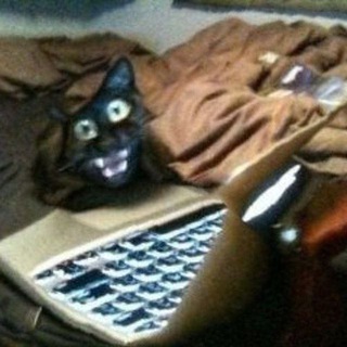 Distortioner