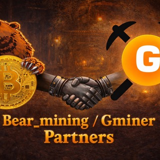 Gminer&ZLoy support chat