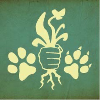Mission: Gesundheit - Hund & Katz
