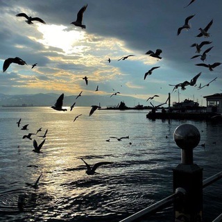 𝐃𝐞𝐧𝐠𝐞𝐬𝐢𝐳 𝐊𝐚𝐥𝐞𝐦 𝐘𝐨𝐫𝐮𝐦🇹🇷