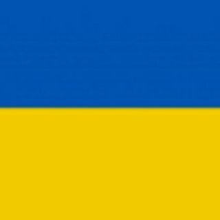 Chatgpt_Ukraine🐝