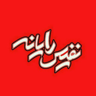 نفیس رایانه