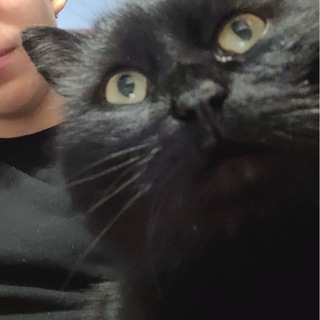🦽