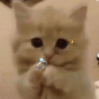 ❄️🐈 Momiqvoylar 🐈❄️