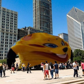 Chicago Area Furries (18+)