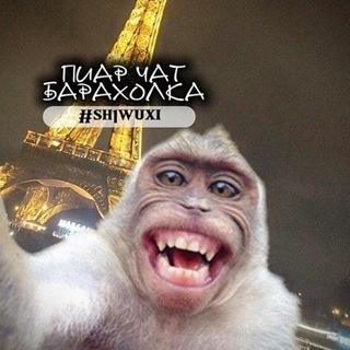 барахолка, пиар чат // #sh1wuxi