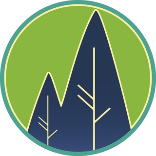 TeamTrees Token