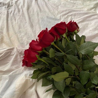 люблю всей душой💘