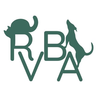 RVBA_bot