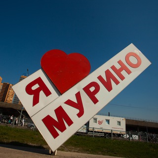 Шаверматорий Муринские новости