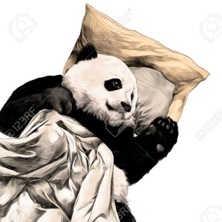 [SFW] Kocyś Pandzi🐼
