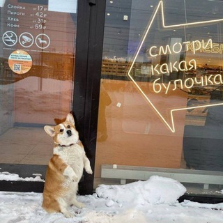 Смотри, какая булочка! БОТ