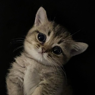 Qweua