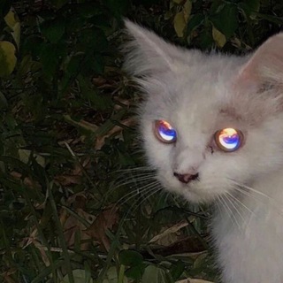 𝕨𝕖𝕟𝕕𝕣𝟙𝟚𝟛