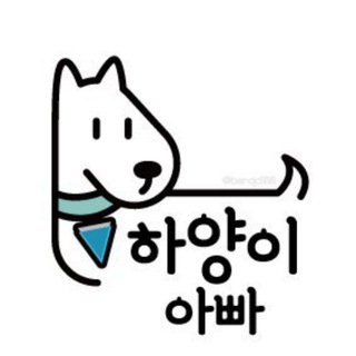 하양이아빠 🐙