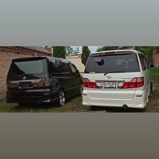 Разбор Альфард