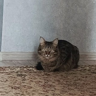 Артур Нуретдинов