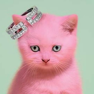 Saul Pink