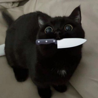 ∂αяк_ρнєσηιχ