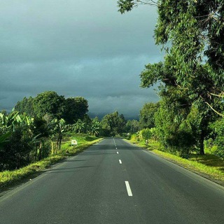 𝐖-𝟑 𝐍𝐨𝐦𝐚𝐝'𝐬 𝐂𝐡𝐚𝐭🥷🦅💰