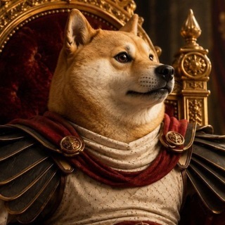 DOGEUS MAXIMUS BLUE RAIDERS/SHILLERS
