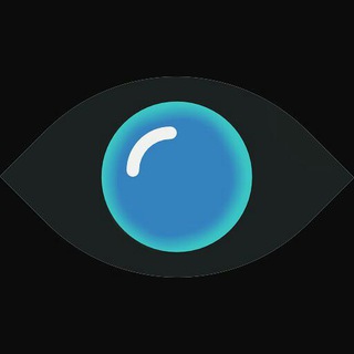 ViewFake Support