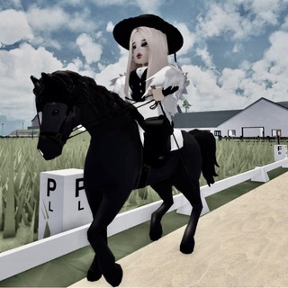 black horse