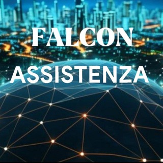 network Falcon - assistenza