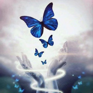 💎NL💎Filchakova_LIFE🦋