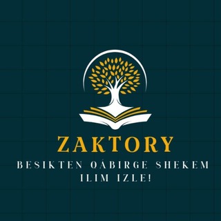 🎓Zaktory