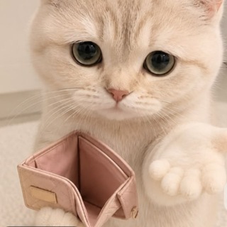 billi ki bodmoshi 😈😍😍😝😝