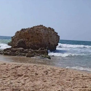 קבוצת דייגי החוף בישראל 🎣🎣🎣🐠🐠🐠🐟🐟🐟